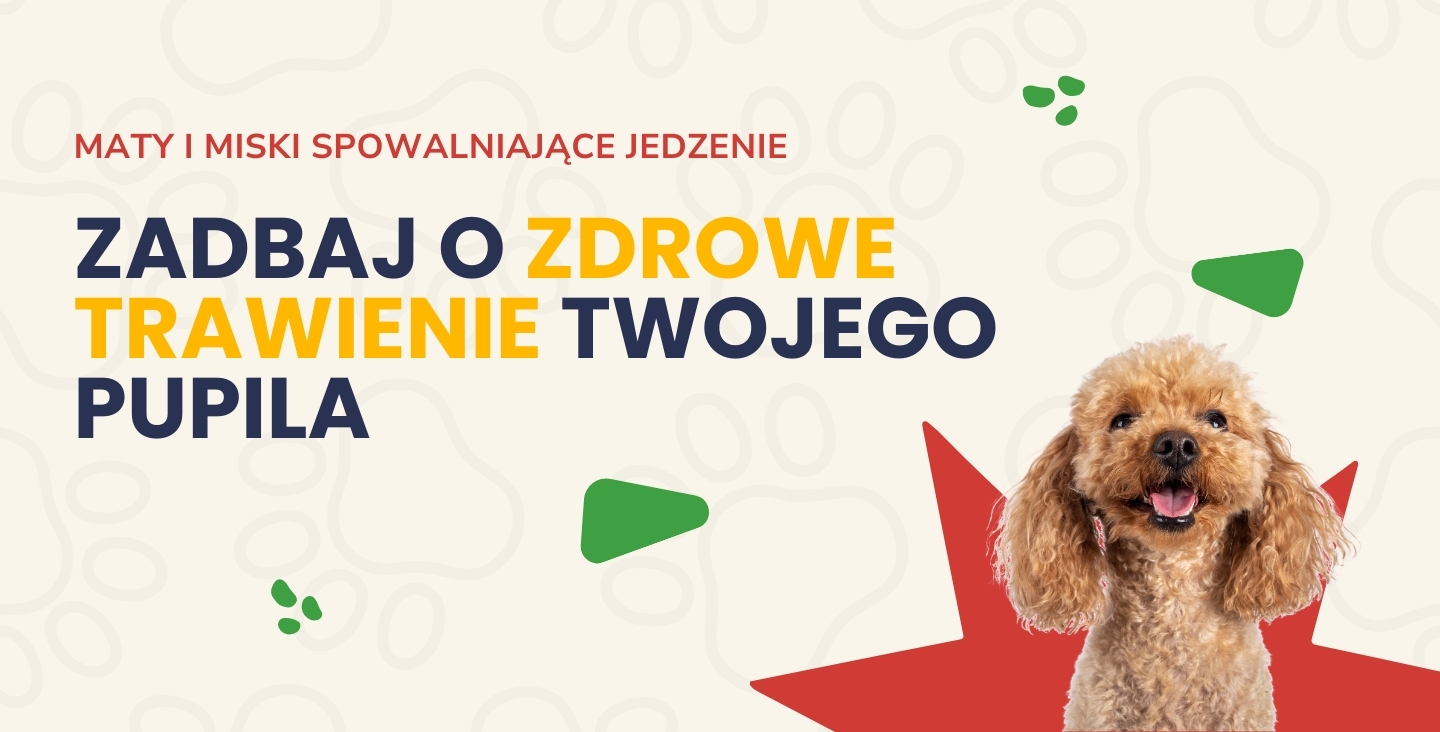 Miski spowalniające jedzenie i maty do lizania